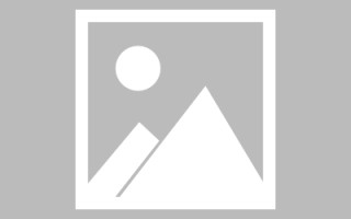 白山海报素材搜索网站（海报素材去哪个网站找）